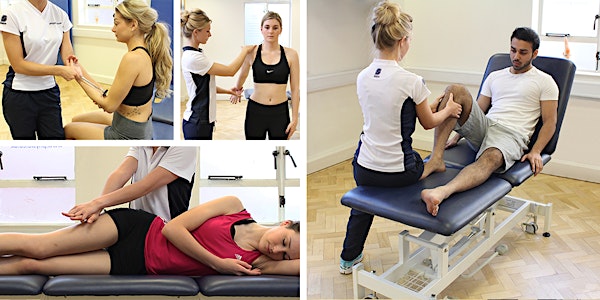 An Introduction to Massage Therapy