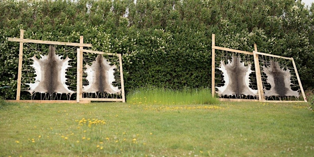 Imagem principal de Organic Fur or Buckskin Tanning