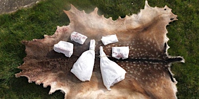 Immagine principale di The Whole Deer 