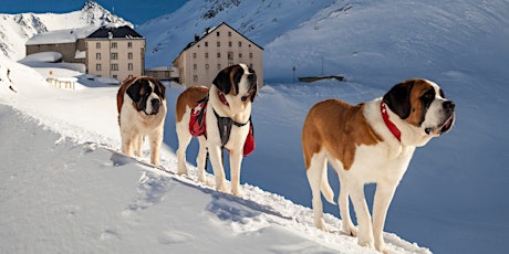 Hauptbild für St Bernards Snow Shoe Pilgrimage 3 Day 2 Night