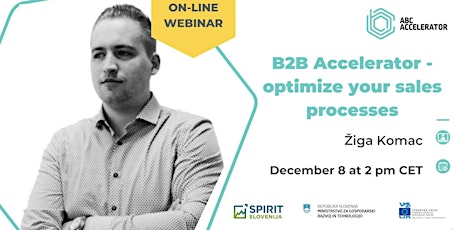 B2B Accelerator - optimise your sales processes
