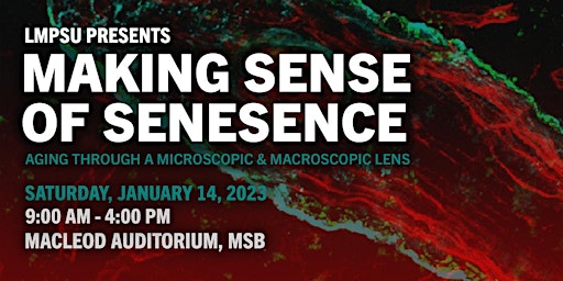 Making Sense of Senescence: Aging Through a Microscopic & Macroscopic Lens