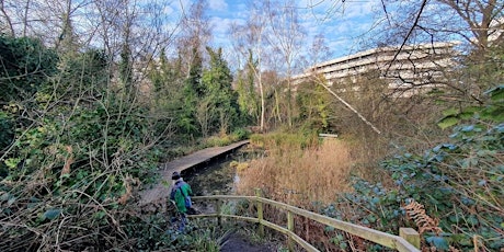 Between the Tracks - Gunnersbury Triangle and Chiswick Business Park