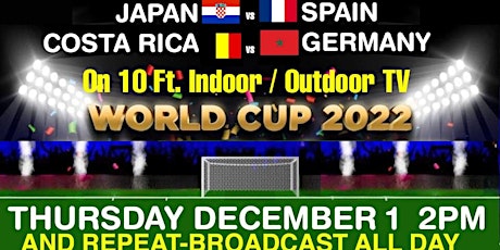 WORLD CUP- JAPAN v SPAIN & COSTA RICA v GERMANY-10Ft TVs   MIAMI BEACH SOBE