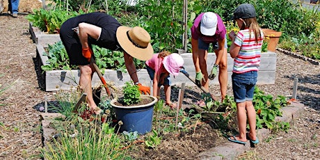 Community Garden Workshop primary image