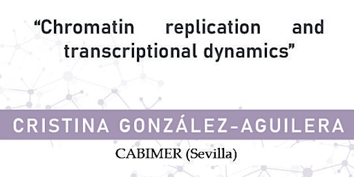 Chromatin replication and transcriptional dynamics