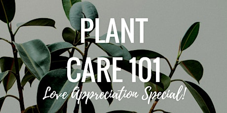 Plant Care 101- Love Appreciation Special! primary image