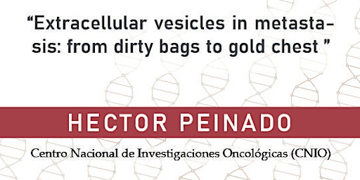 Extracellular vesicles in metastasis: from dirty bags to gold chest