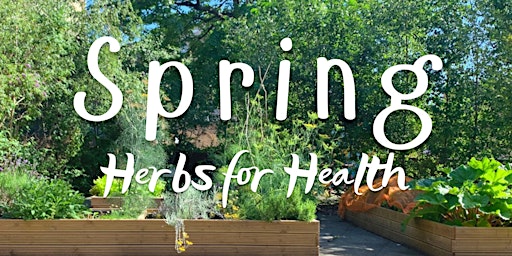 Spring Herbs for Health