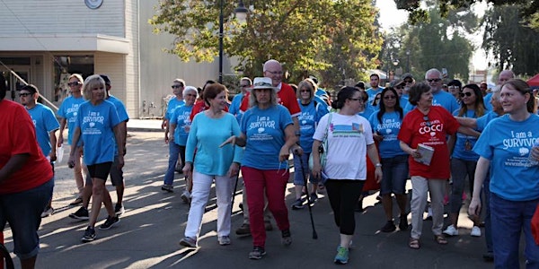 Valley Fever Walk 2018