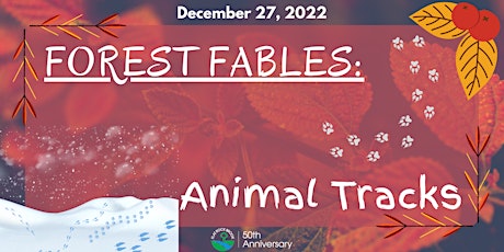 Forest Fables: Animals Tracks