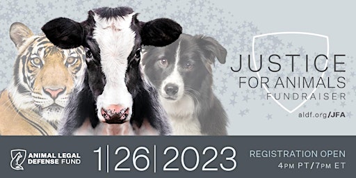 Justice for Animals 2023