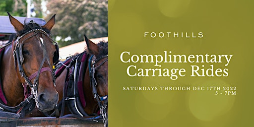 Complimentary Carriage Rides primary image