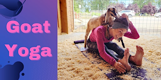 Goat Yoga with Wine and Goat Cheese Tasting primary image