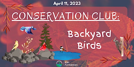 Conservation Club: Backyard Birds