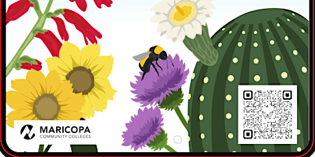 Learn how to attract and support pollinators in the Phoenix metro & beyond!