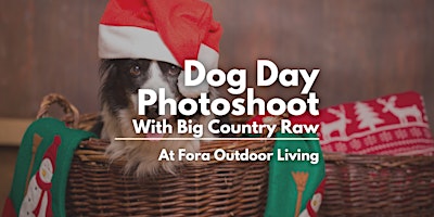 Holiday Photo Session with your Dog