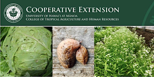 Extension in the Garden Series: Garden Pest Management