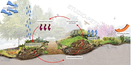Designing "Whole-systems" Gardens with Leigh and Shawn