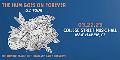The Wonder Years: The Hum Goes On Forever Tour