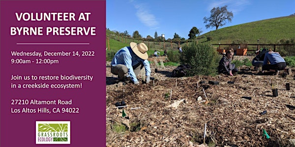Volunteer Outdoors in Los Altos Hills: Habitat Restoration @ Byrne Preserve