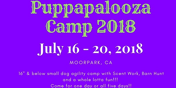 Lil' Pupperpalooza Camp 2018