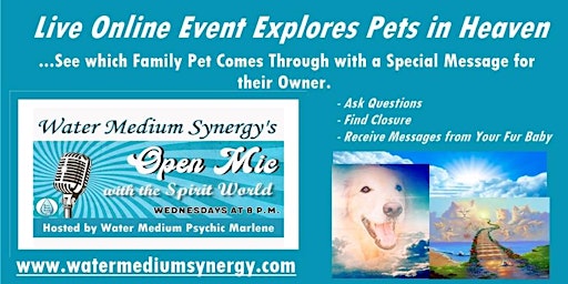 OPEN MIC NIGHT WITH SPIRIT WORLD:  Live Event Explores Pets in Heaven