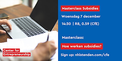 Masterclass Subsidies: Hoe werken subsidies? | Leeuwarden