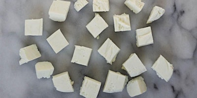 Cheese Science – & Making Paneer