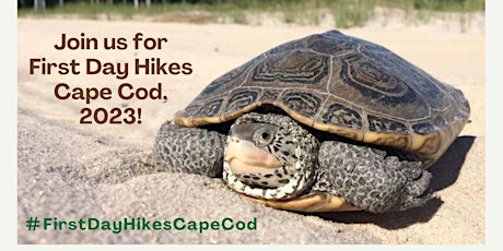Orenda Wildlife Land Trust: First Day Hikes Cape Cod, 2023!