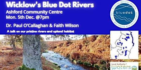 Wicklow's Blue Dot Rivers