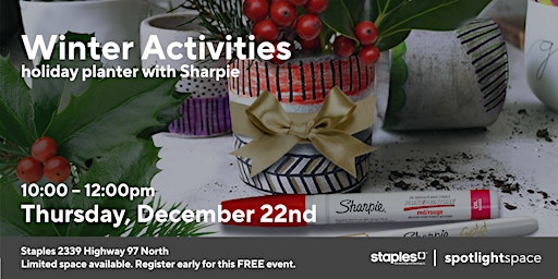 Winter Activities – Holiday Planter with Sharpie