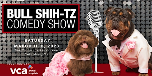 Bull Shih-tz Comedy Show 2023