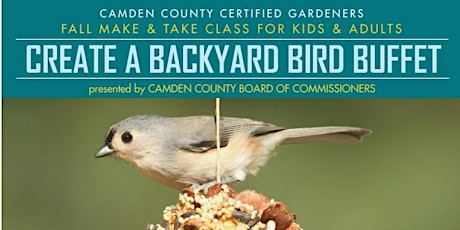 Family Fun! Create a Backyard Bird Buffet