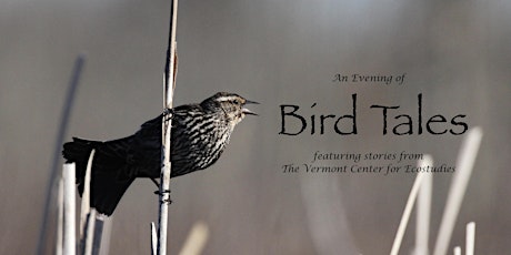 An Evening of Bird Tales