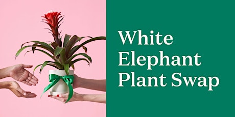 The Sill White Elephant Plant Swap- Boston, MA