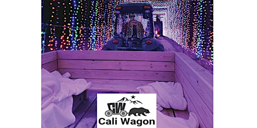Holiday and Christmas Lights Wagon Ride - Downtown Willow Glen