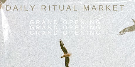 Daily Ritual Market Opening Party + Sound Bath w/ Fourhealing_
