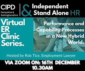 Independent and Stand Alone HR Group: Capability and Performance Processes