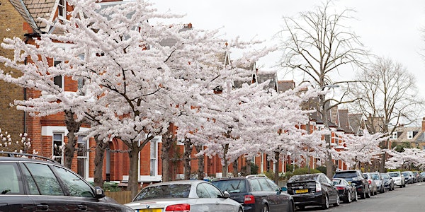 Explore the Urban Forest: Herne Hill