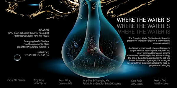 Where the Water Is - Final 3D Moving Image Screening at NYU Tisch