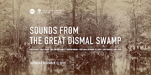 Sounds from the Great Dismal Swamp