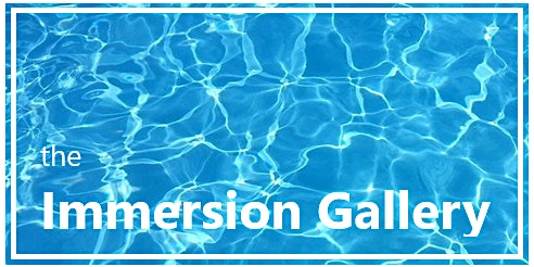 Immersion Gallery's Soft Opening