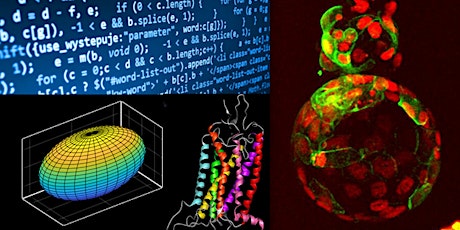 Scientific Computation in the University of Cambridge primary image
