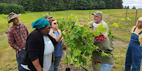 Hands-On, In-Person Introductory Grape Pruning Workshop