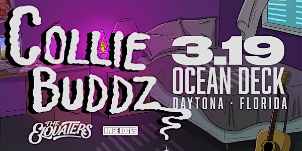 COLLIE BUDDZ - Daytona (Direct Oceanfront)