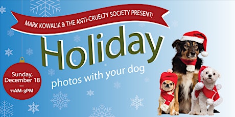 Holiday Photos with Your Dog