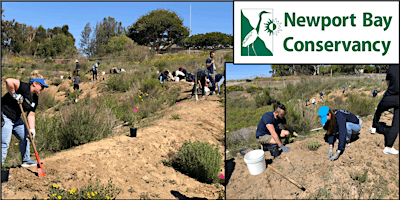 Bayview Planting Day at The Upper Newport Bay