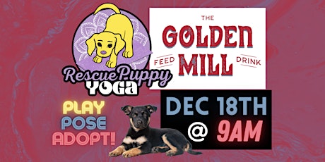 Rescue Puppy Yoga - The Golden Mill.