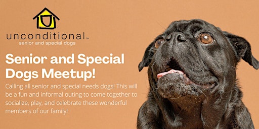 Unconditional's Senior & Special Dog Meetup
